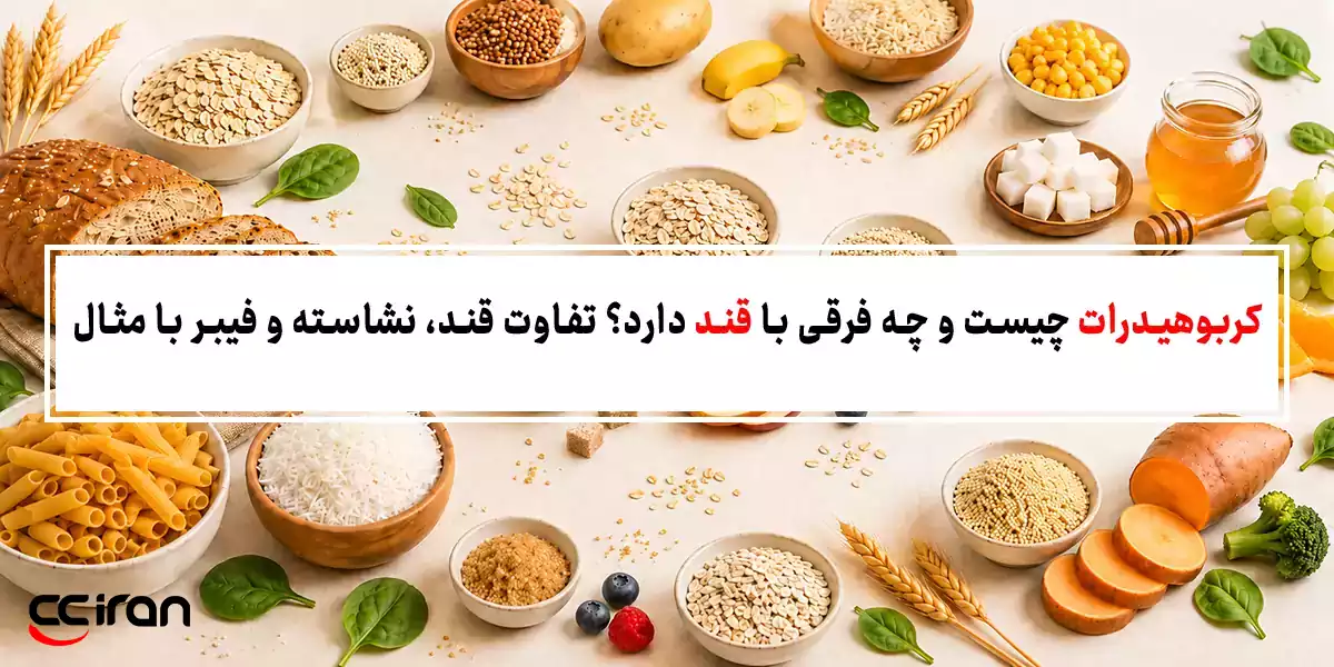 کربوهیدرات چیست و چه فرقی با قند دارد؟ تفاوت قند، نشاسته و فیبر با مثال